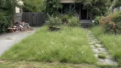Before and after professional lawn maintenance showcasing lush residential yard in Spokane, WA