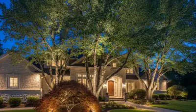 Tree uplighting with dramatic effects by Chop Chop Landscaping in Spokane, WA enhancing evening curb appeal